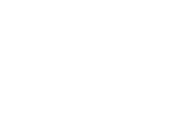 PepsiCo PepsiCo